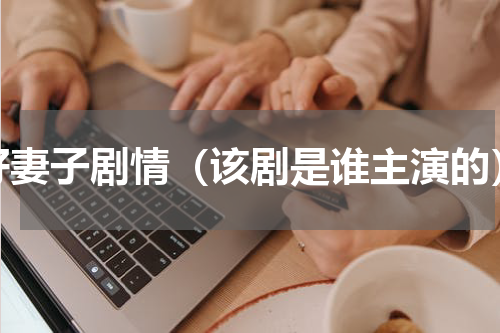 好妻子剧情（该剧是谁主演的）