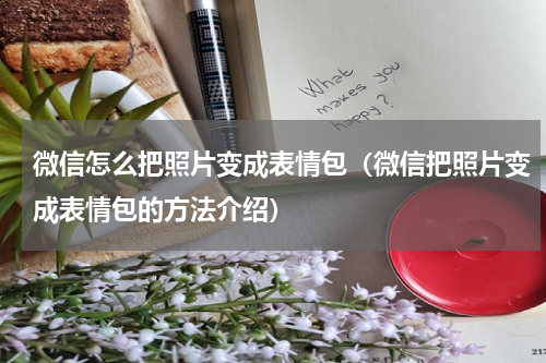 微信怎么把照片变成表情包（微信把照片变成表情包的方法介绍）