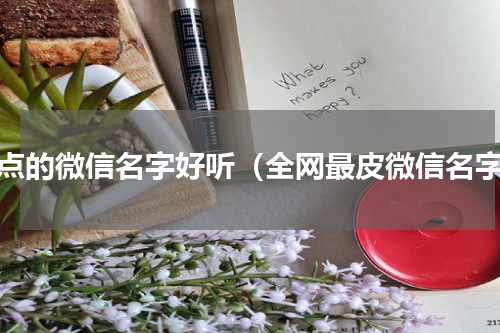 好点的微信名字好听（全网最皮微信名字）