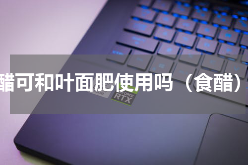 醋可和叶面肥使用吗（食醋）
