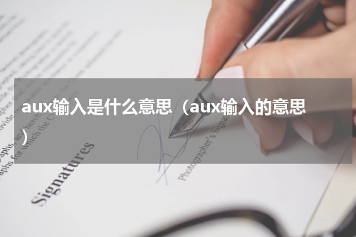 aux输入是什么意思（aux输入的意思）