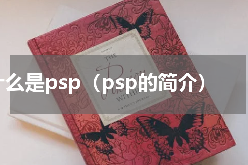 什么是psp（psp的简介）