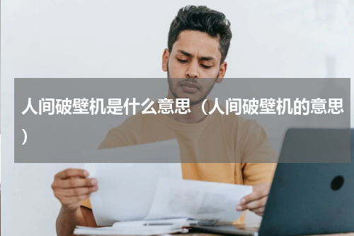 人间破壁机是什么意思（人间破壁机的意思）