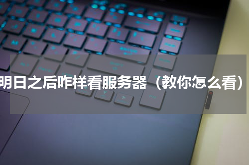 明日之后咋样看服务器（教你怎么看）