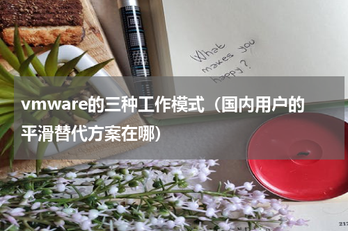vmware的三种工作模式（国内用户的平滑替代方案在哪）