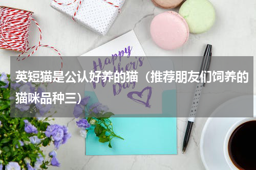 英短猫是公认好养的猫（推荐朋友们饲养的猫咪品种三）