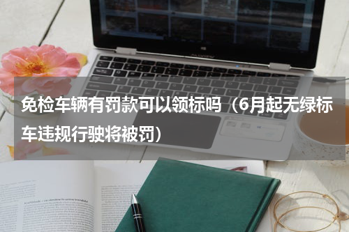 免检车辆有罚款可以领标吗（6月起无绿标车违规行驶将被罚）