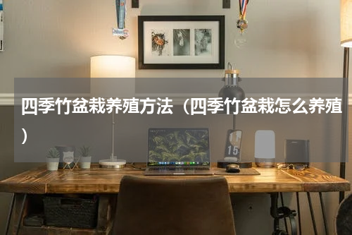 四季竹盆栽养殖方法（四季竹盆栽怎么养殖）
