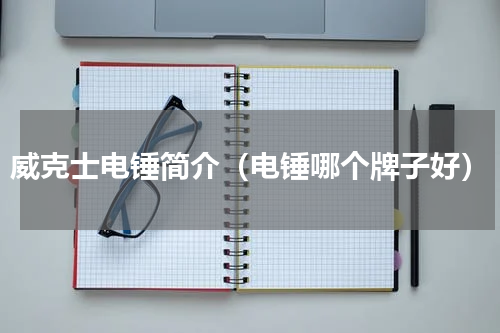 威克士电锤简介（电锤哪个牌子好）