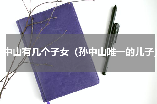 孙中山有几个子女（孙中山唯一的儿子）