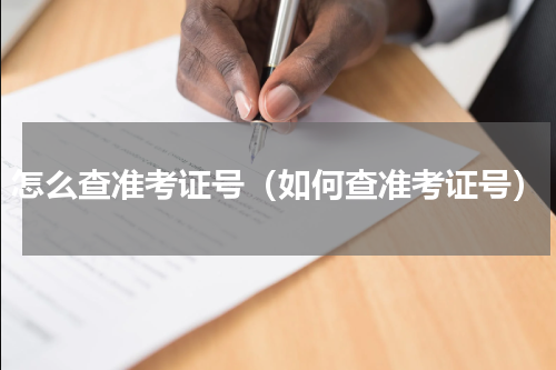 怎么查准考证号（如何查准考证号）