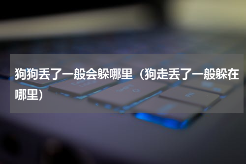 狗狗丢了一般会躲哪里（狗走丢了一般躲在哪里）