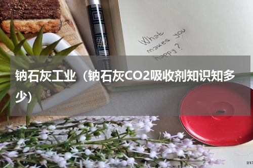 钠石灰工业（钠石灰CO2吸收剂知识知多少）