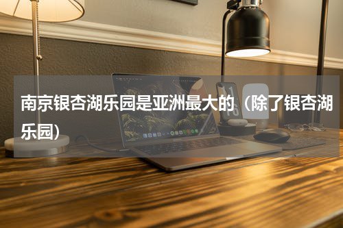 南京银杏湖乐园是亚洲最大的（除了银杏湖乐园）