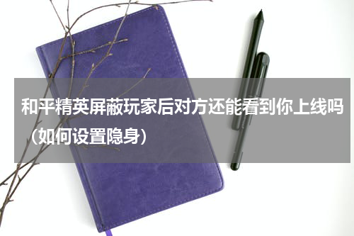 和平精英屏蔽玩家后对方还能看到你上线吗（如何设置隐身）