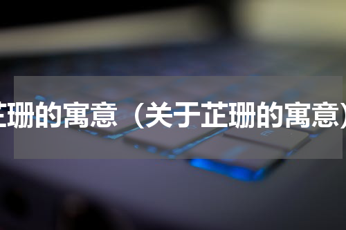 芷珊的寓意（关于芷珊的寓意）