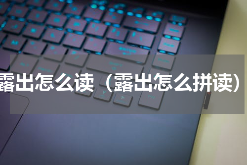 露出怎么读（露出怎么拼读）