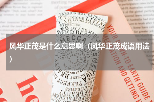 风华正茂是什么意思啊（风华正茂成语用法）
