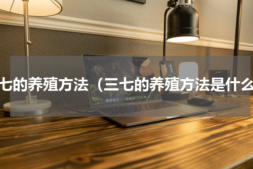 三七的养殖方法（三七的养殖方法是什么）