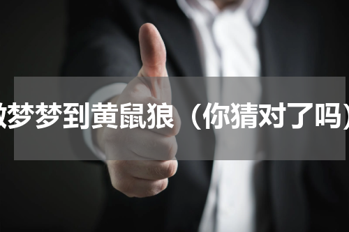 做梦梦到黄鼠狼（你猜对了吗）