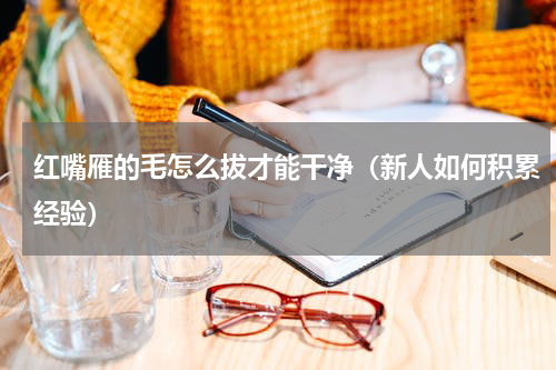 红嘴雁的毛怎么拔才能干净（新人如何积累经验）