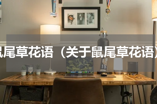 鼠尾草花语（关于鼠尾草花语）