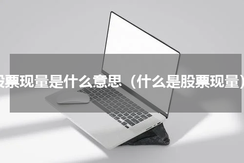 股票现量是什么意思（什么是股票现量）