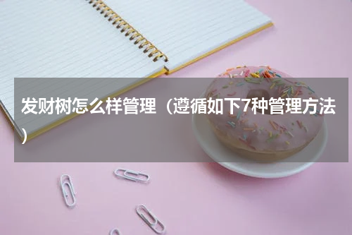 发财树怎么样管理（遵循如下7种管理方法）