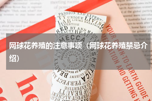 网球花养殖的注意事项（网球花养殖禁忌介绍）