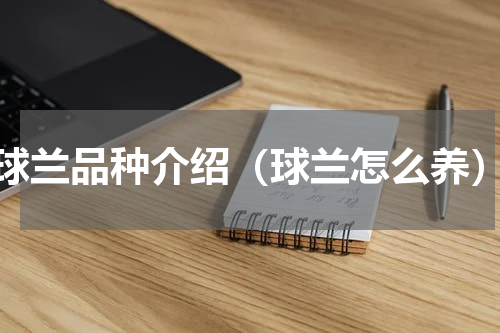 球兰品种介绍（球兰怎么养）