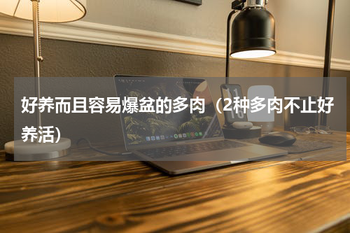 好养而且容易爆盆的多肉（2种多肉不止好养活）