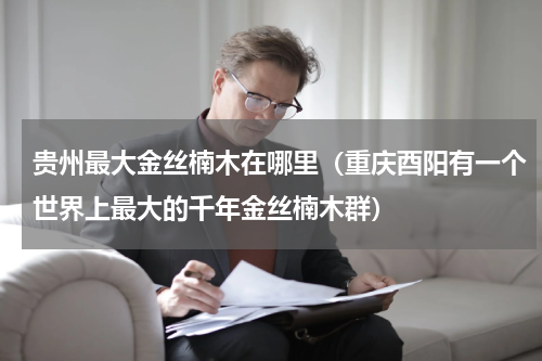 贵州最大金丝楠木在哪里（重庆酉阳有一个世界上最大的千年金丝楠木群）