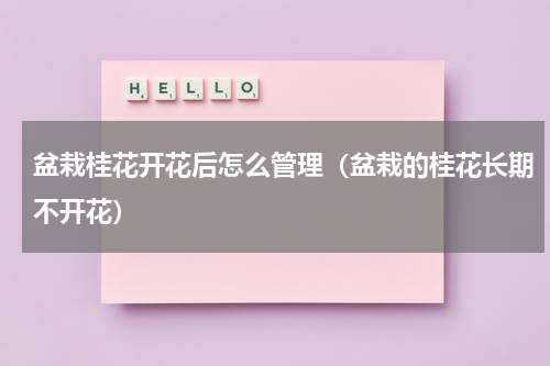 盆栽桂花开花后怎么管理（盆栽的桂花长期不开花）
