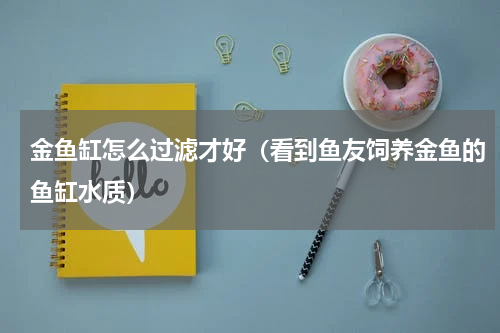 金鱼缸怎么过滤才好（看到鱼友饲养金鱼的鱼缸水质）