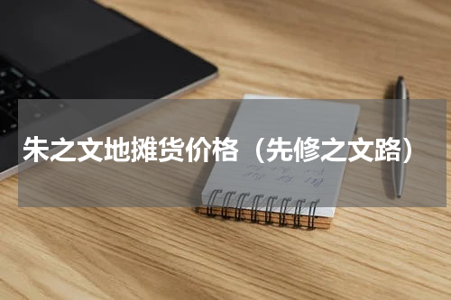 朱之文地摊货价格（先修之文路）