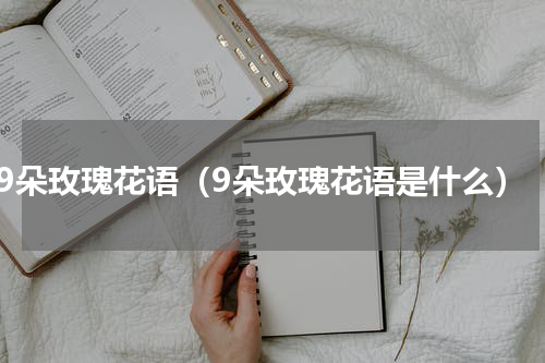 9朵玫瑰花语（9朵玫瑰花语是什么）