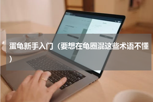 蛋龟新手入门（要想在龟圈混这些术语不懂）