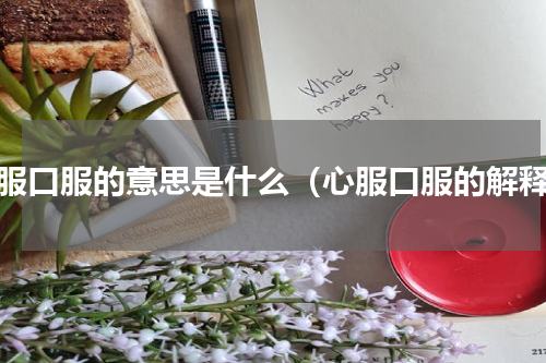 心服口服的意思是什么（心服口服的解释）