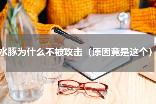 水豚为什么不被攻击（原因竟是这个）