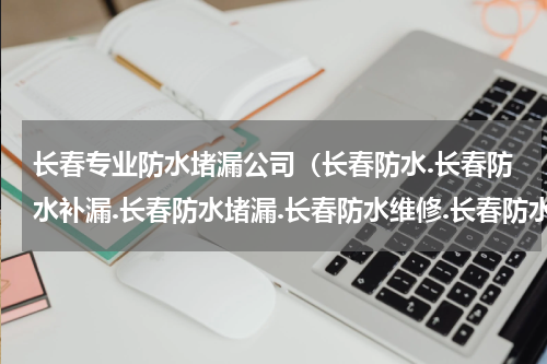 长春专业防水堵漏公司（长春防水.长春防水补漏.长春防水堵漏.长春防水维修.长春防水公司）