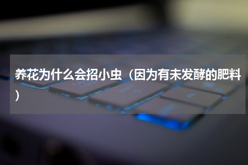 养花为什么会招小虫（因为有未发酵的肥料）