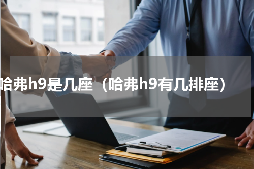 哈弗h9是几座（哈弗h9有几排座）