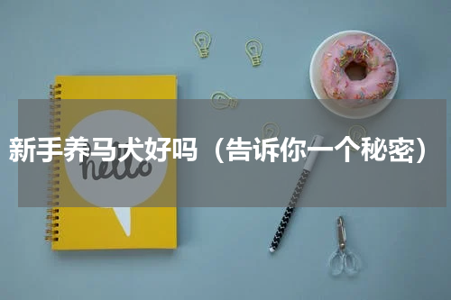 新手养马犬好吗（告诉你一个秘密）