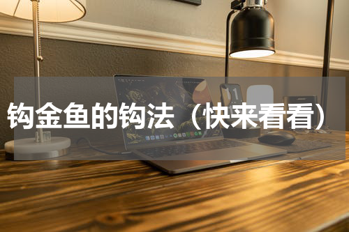 钩金鱼的钩法（快来看看）
