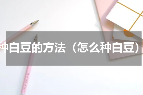 种白豆的方法（怎么种白豆）