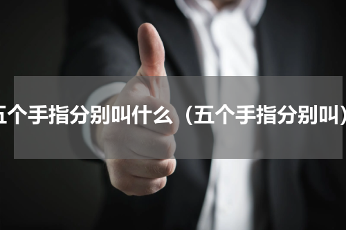 五个手指分别叫什么（五个手指分别叫）