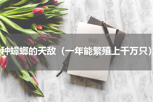 10种蟑螂的天敌（一年能繁殖上千万只）