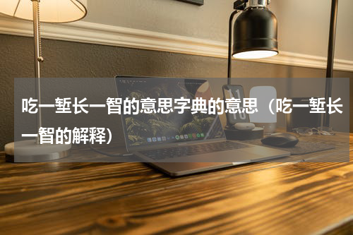 吃一堑长一智的意思字典的意思（吃一堑长一智的解释）