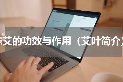 陈艾的功效与作用（艾叶简介）