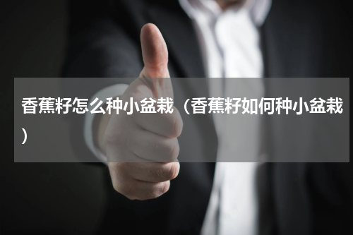 香蕉籽怎么种小盆栽（香蕉籽如何种小盆栽）